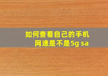 如何查看自己的手机网速是不是5g sa